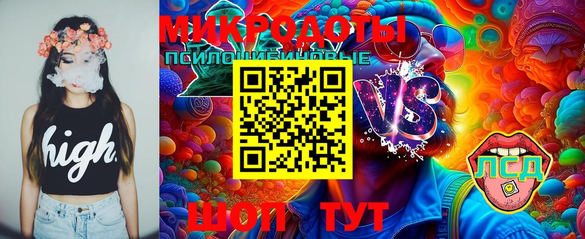 Псилоцибиновые грибы Cubensis Белореченск