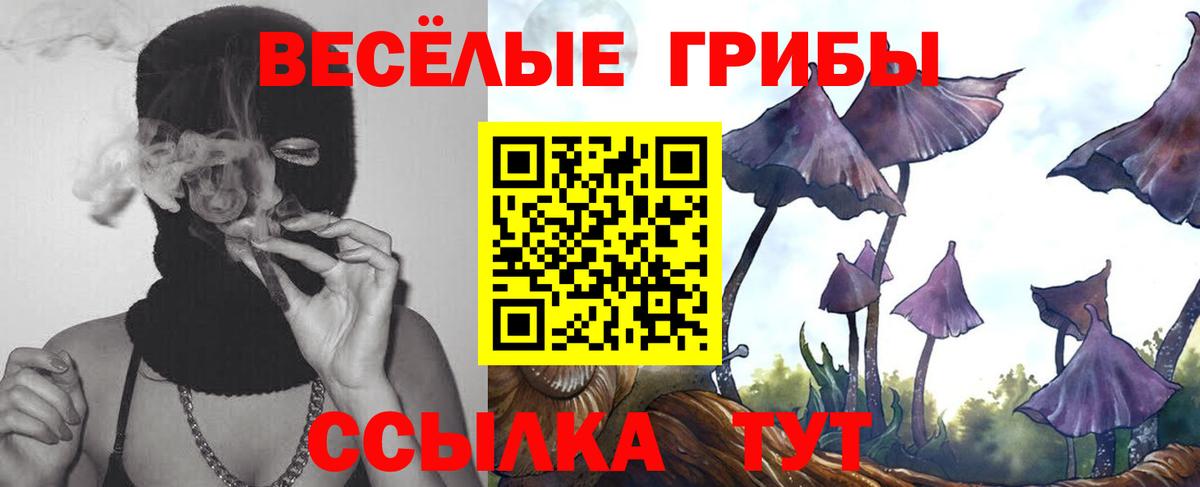 как найти закладки  Вход с VPN  Белореченск  Галлюциногенные грибы мухоморы  Галлюциногенные грибы Psilocybine cubensis 
